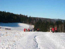 silvestr 2008